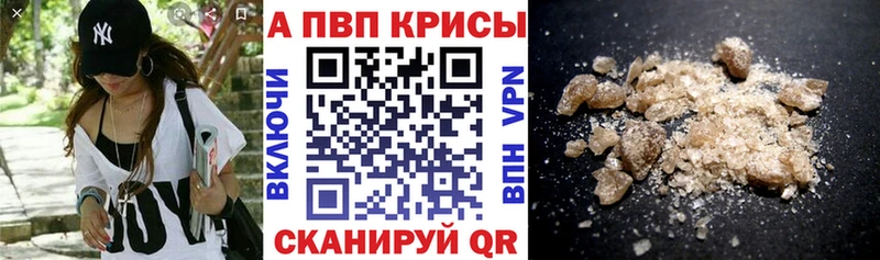 что такое   Княгинино  A PVP СК 