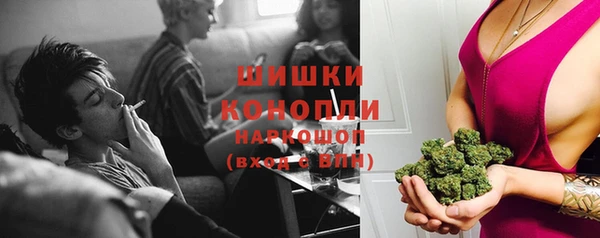 ПСИЛОЦИБИНОВЫЕ ГРИБЫ Богданович