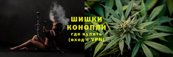 ПСИЛОЦИБИНОВЫЕ ГРИБЫ Богданович