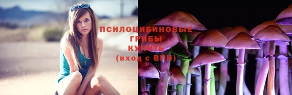 меф Белокуриха