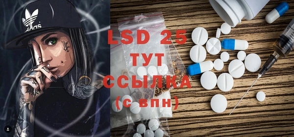 ПСИЛОЦИБИНОВЫЕ ГРИБЫ Богданович