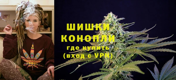 ПСИЛОЦИБИНОВЫЕ ГРИБЫ Богданович