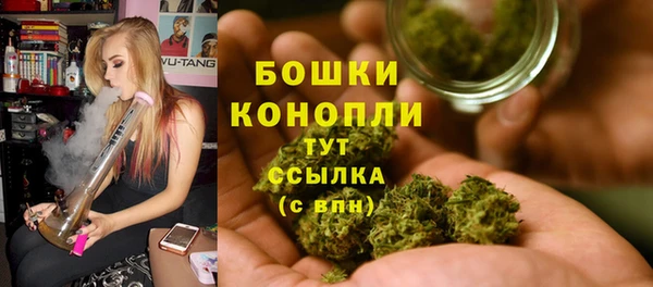 ПСИЛОЦИБИНОВЫЕ ГРИБЫ Богданович